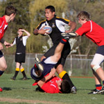 Plants: image 4 0f 4 thumb